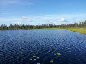 Finlandia - dzień czwarty